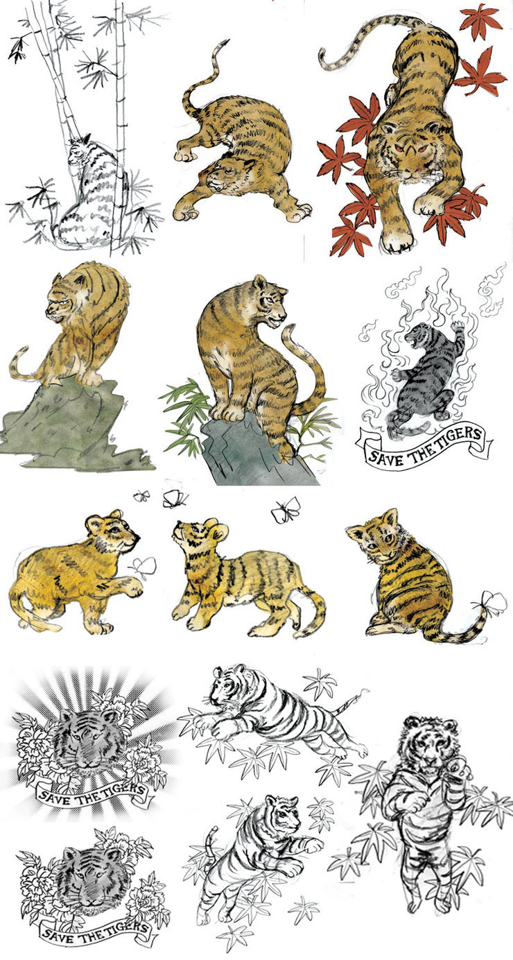 Libero: Tiger Sketches