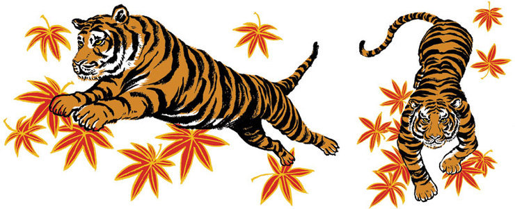 Libero: Unused Tiger Sketches