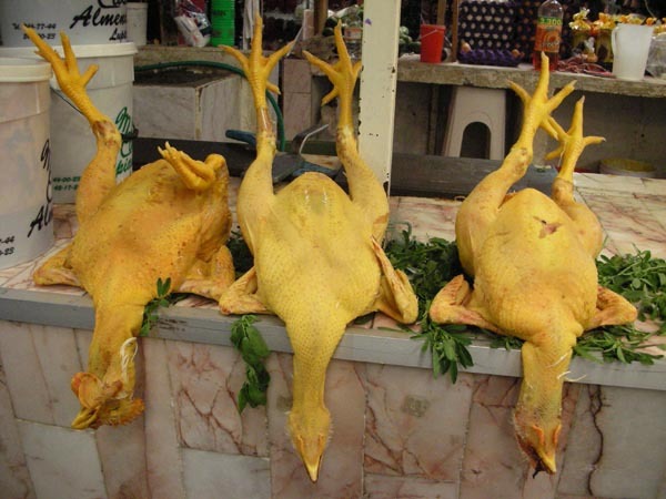 Puebla, Mexico (June 2009): Chickens