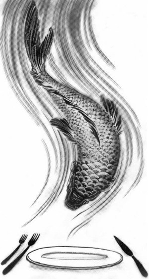 Quick Fish Illustration
